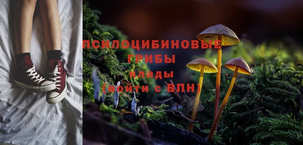 СК Балахна