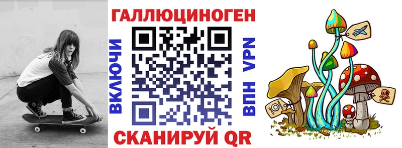дарнет шоп Змеиногорск Псилоцибиновые грибы ЛСД